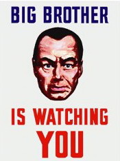 Il Grande Fratello ti vede